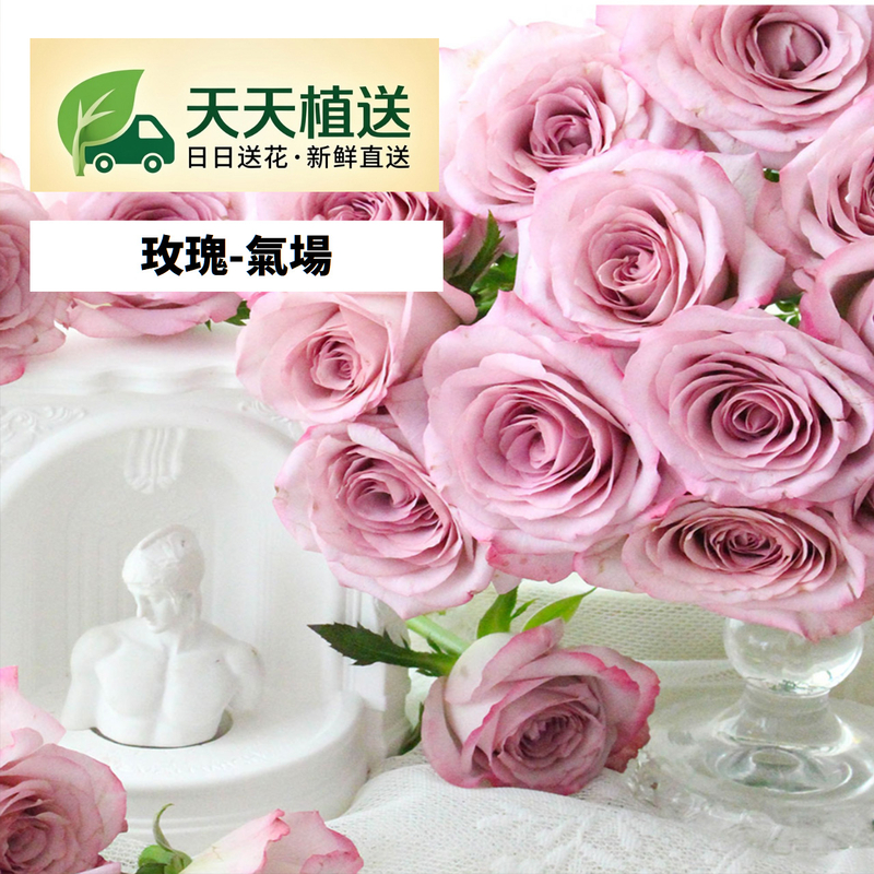 Aura Rose fl00029-HC0005