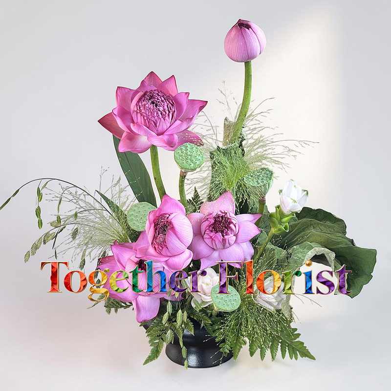 Lotus mixed with ginger lotus, DIY lotus seedpod flower kit fl0000-DIYHCB007