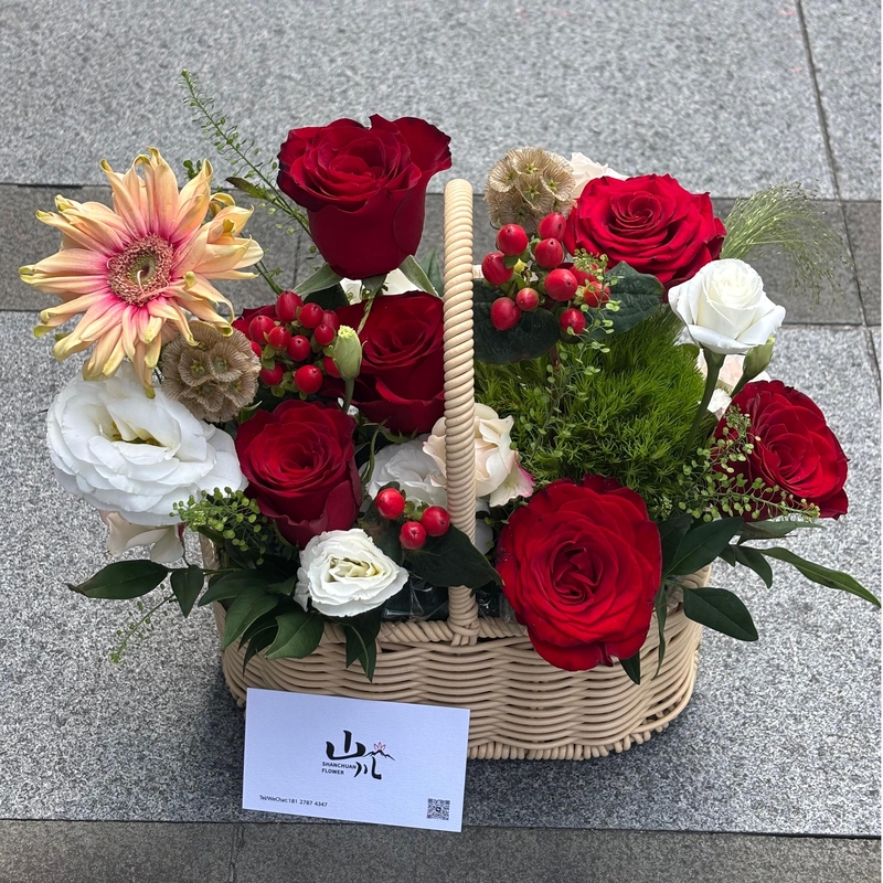 高原紅玫瑰+桔梗+亞丁非洲菊+時令配花fl00018-022