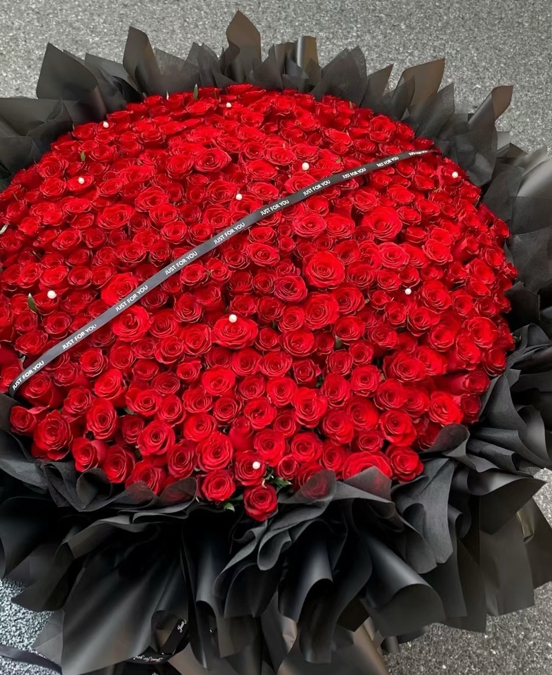 520枝紅色玫瑰花束(fl00020-0036)