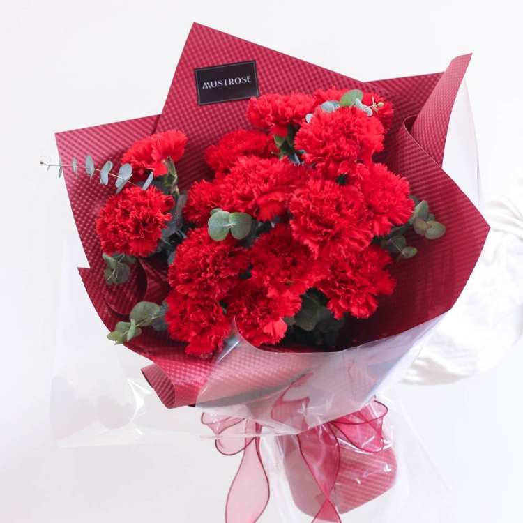 16朵紅康花束(fl00002-027)