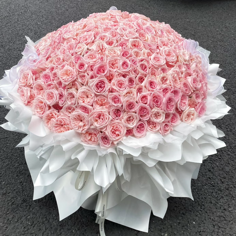 365枝粉色玫瑰花束(=fl00006-032)