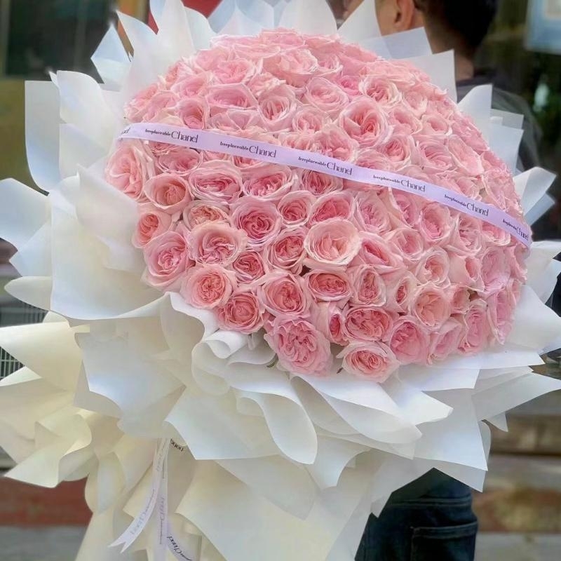 粉色玫瑰花束(fl00015-0008)