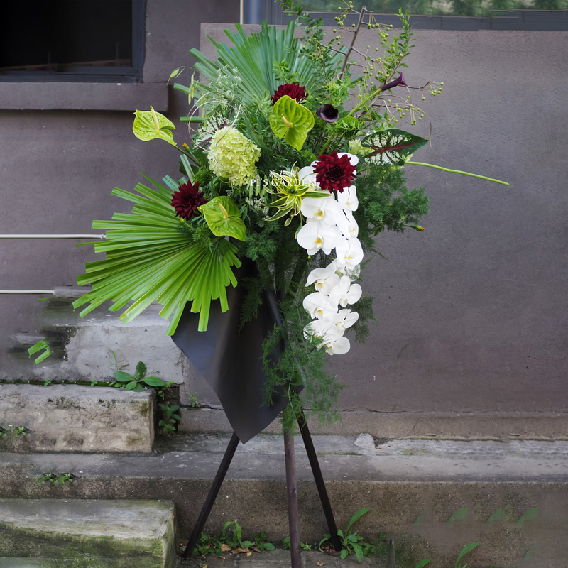 蝴蝶兰混搭大丽花花籃(fl00026-0164)
