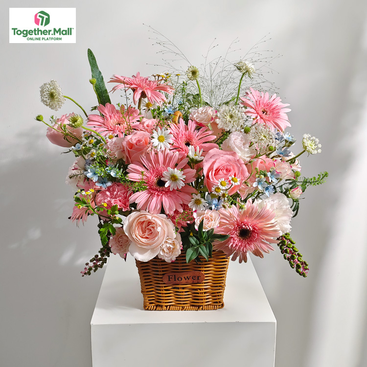 現貨-非洲菊混搭戴安娜玫瑰花籃fl0000-250916-005