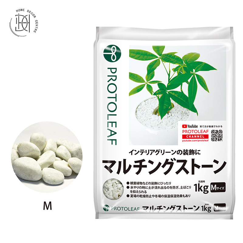 (日本) ProtoLeaf 盆面石(白色)M