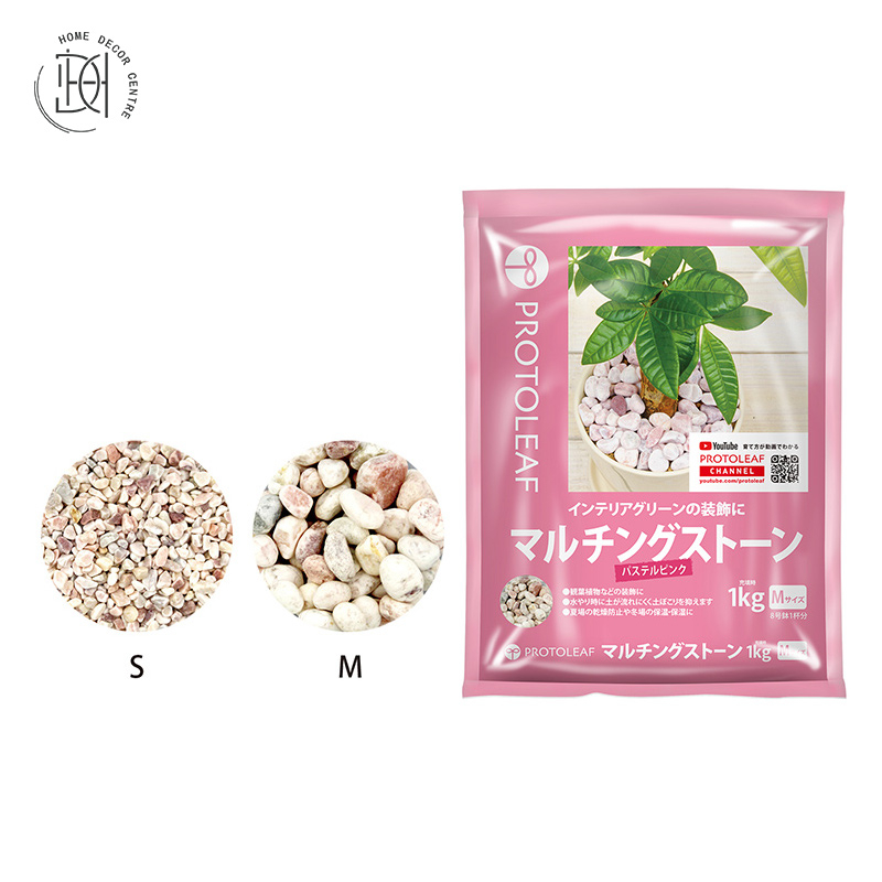 (日本) ProtoLeaf 盆面石(淡粉色)M