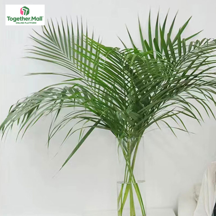 Loose tail leaf fl0000-HC0101
