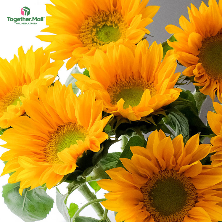 Mini Green Heart Sunflower fl0000-HC0084