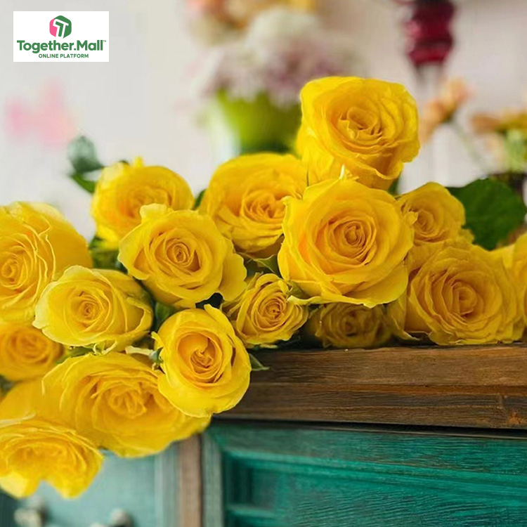 金枝玉葉玫瑰fl0000-HC0018