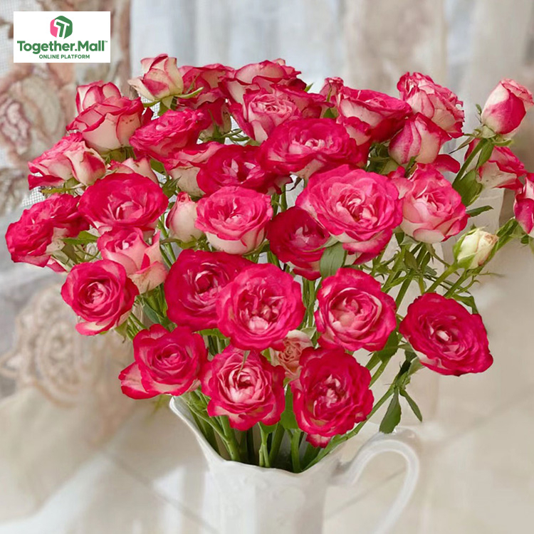 獅子座多頭玫瑰fl0000-HC0053