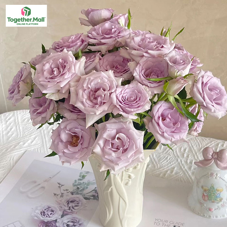 九星藍狐多頭玫瑰fl0000-HC0052