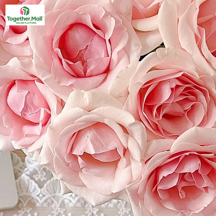 粉愛神玫瑰fl0000-HC0035