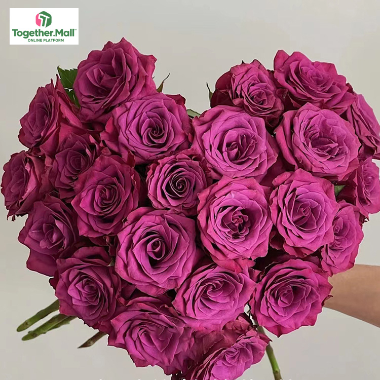 藍莓玫瑰fl0000-HC0037