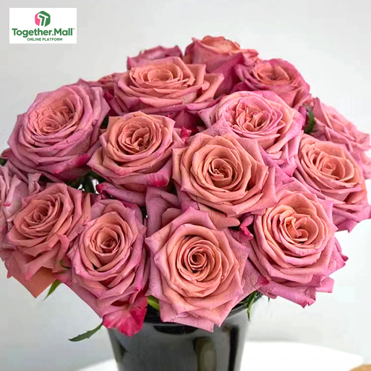 調香師玫瑰fl0000-HC0038