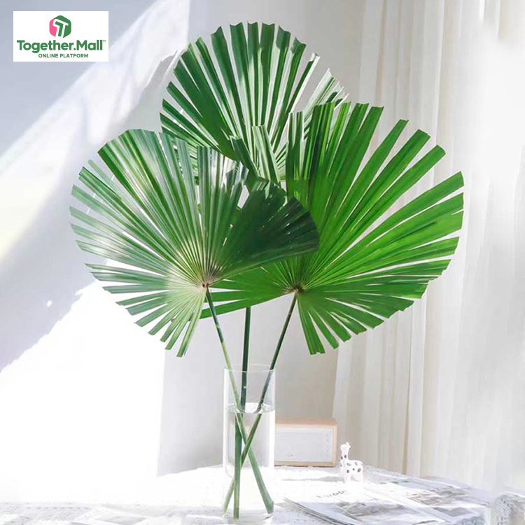 Palm leaf fl0000-HC0104