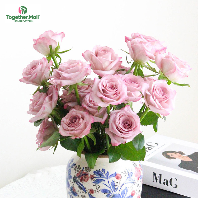 氣場玫瑰fl0000-HC0022