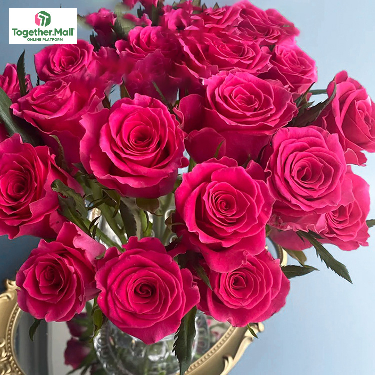 高盛玫瑰fl0000-HC0025