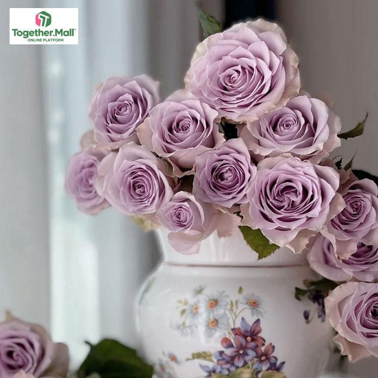 海洋之謎玫瑰fl0000-HC0032