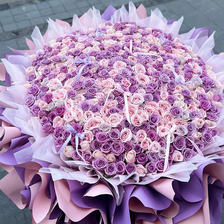 紫色玫瑰混搭粉色玫瑰1314枝花束fl00026-0213