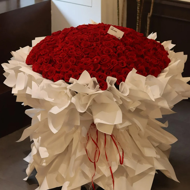 520枝紅色玫瑰花束fl00026-0196