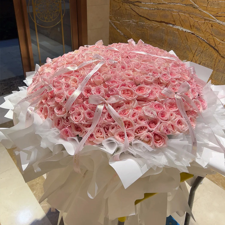 520枝粉色玫瑰花束fl00026-0198