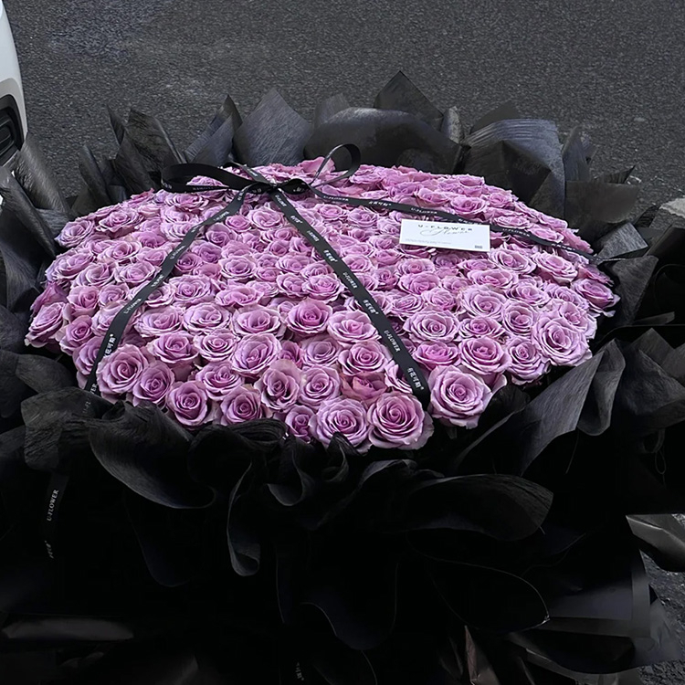 520枝紫色玫瑰花束fl00026-0199