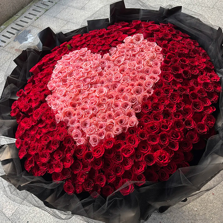 999枝紅色玫瑰混搭粉色玫瑰花束fl00026-0203