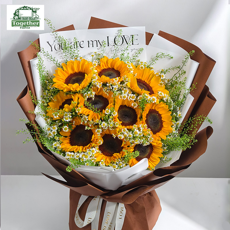 10枝向日葵花束fl0000-XH0173