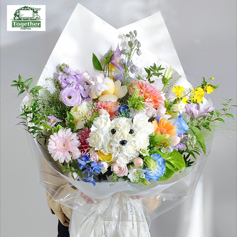 小狗康乃馨混搭大麗花、玫瑰花束fl0000-XH0182