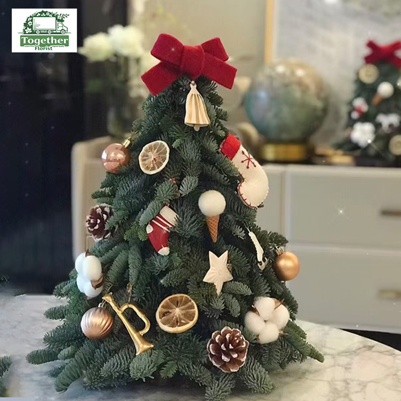 30cm諾貝松聖誕樹fl0000-XH0167