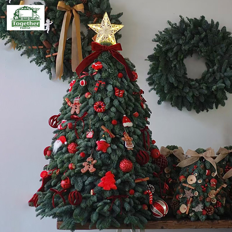 80cm諾貝松聖誕樹fl0000-XH0168