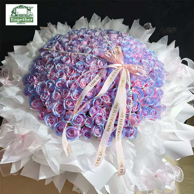 199朵粉藍色（噴色）玫瑰fl0000-XH0241