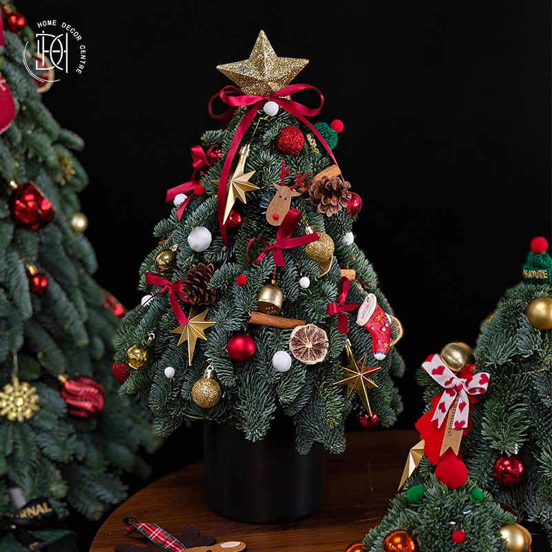 進口諾貝松手工制作聖誕樹-款式三 SDS-0001