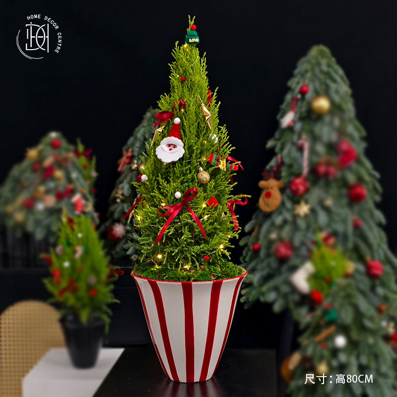 香松聖誕樹 SDS-0005