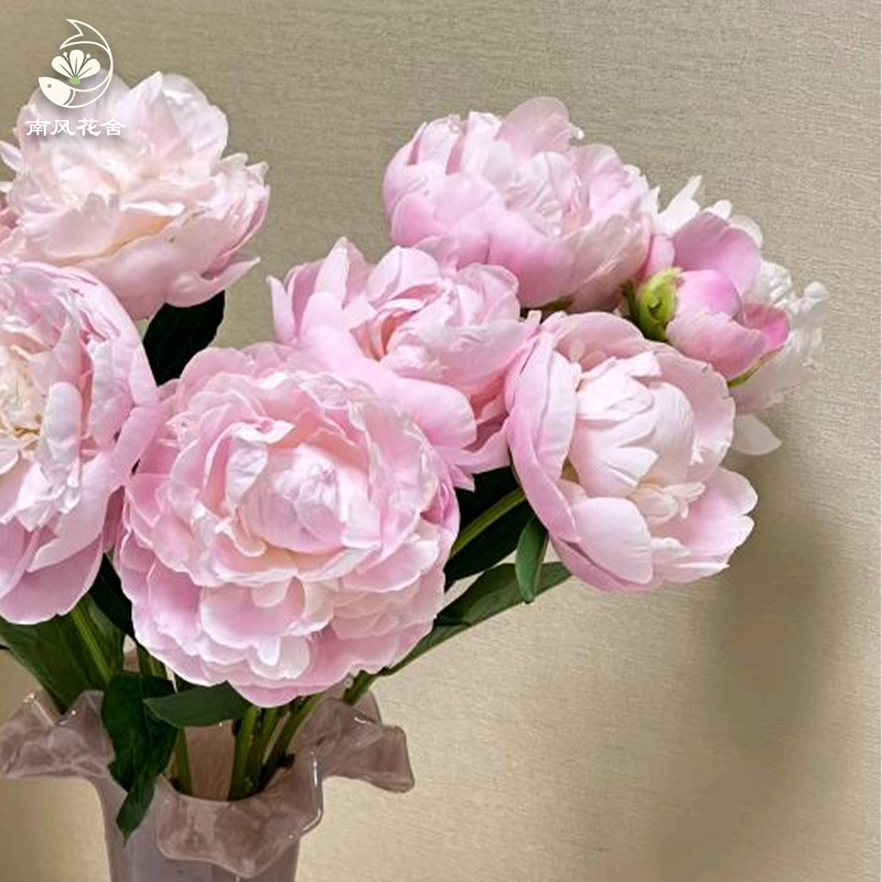 東方少女芍藥fl0000-HC0106